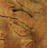 34 dust devils on Mars in 1 shot! Can...