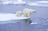 Celebrate Arctic Sea Ice Day with...