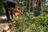 In New Orleans, ‘Solitary Gardens’...