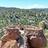 Arizona’s Chiricahua poised to become...