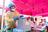 The Most Promising Ebola Vaccine Has...