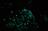 Glowworms turn cave ceilings into...