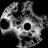 How earthly microbes on the moon might...