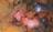 See the first Rubin Observatory images...