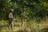 US Army eyes developing soldier-worn...