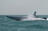 Pentagon puts out call for robot boats...