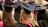 Student loans inquiry finds many did...