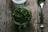 Make Verdurette, Natural Vegetable...