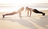 The Joy of Everyday Movement: Making...
